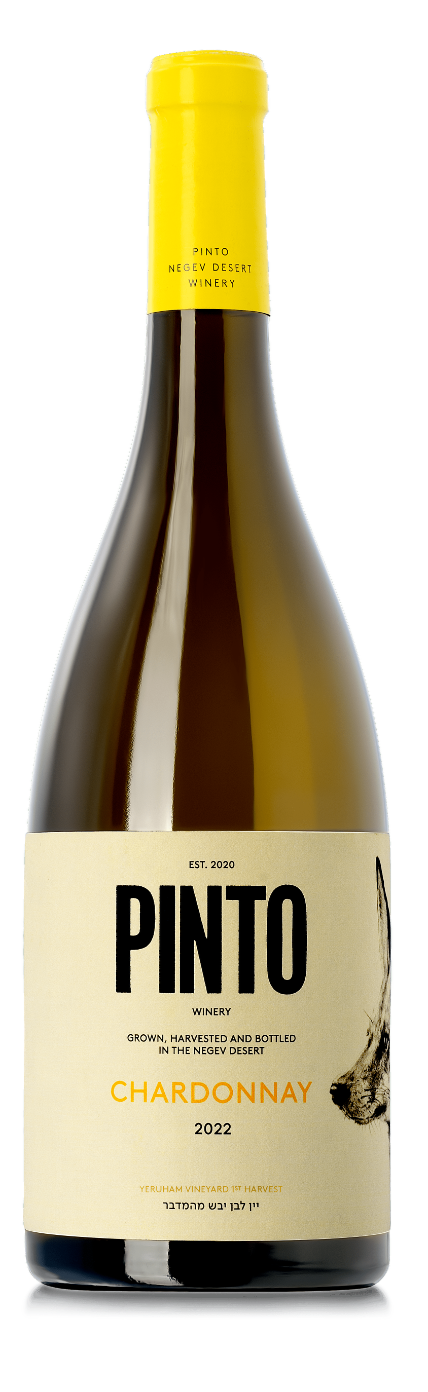 Pinto Chardonnay 2022