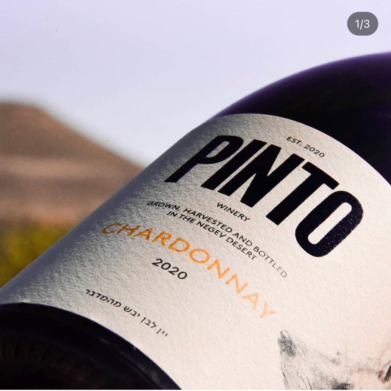 Pinto Chardonnay 2022
