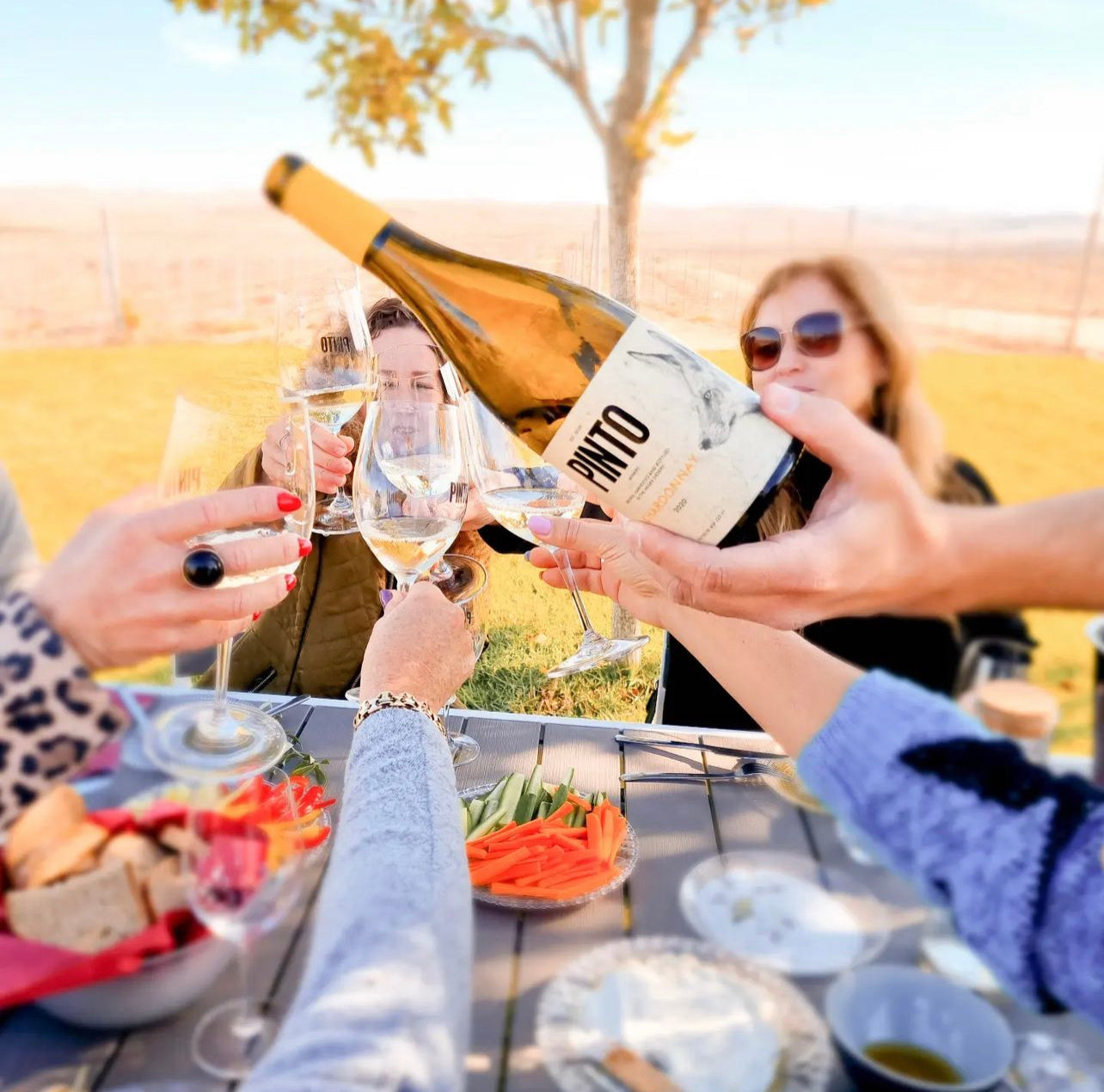 Pinto Chardonnay 2022