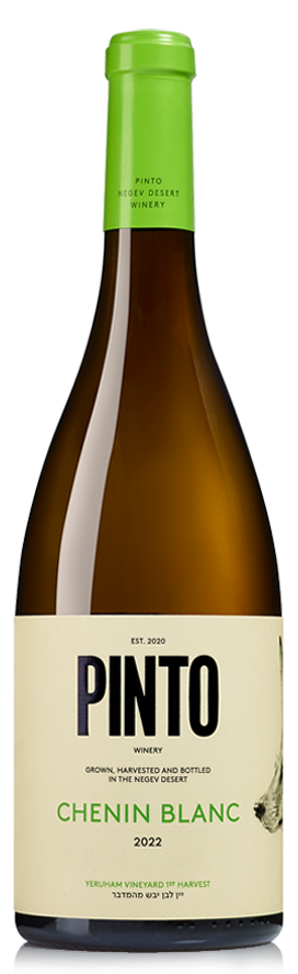 Pinto Chenin Blanc 2022
