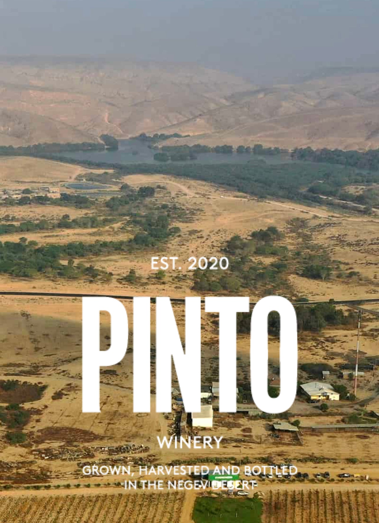 Pinto Chenin Blanc 2022