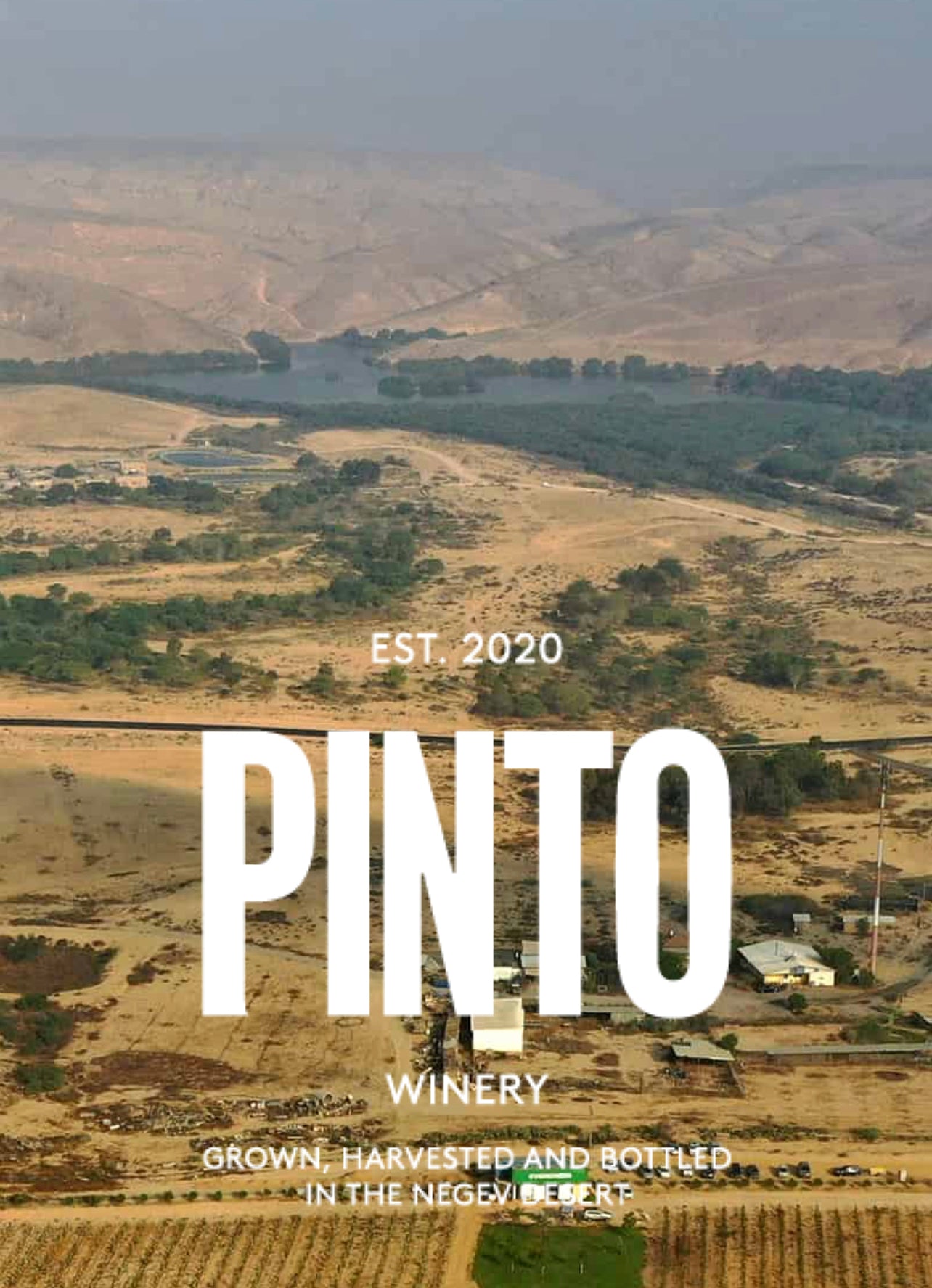 Pinto Shiraz 2022