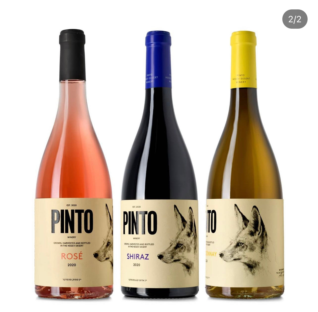 Pinto Shiraz 2022