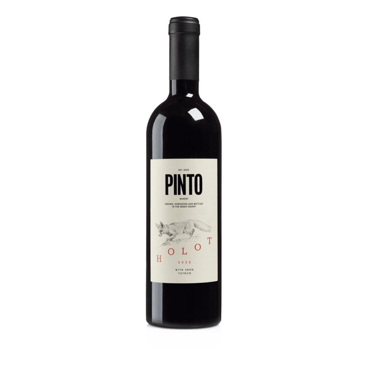 Pinto Holot Red 2020